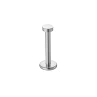 049-Silver Picture2