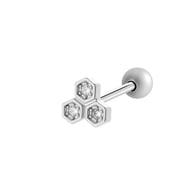938—Silver Picture3