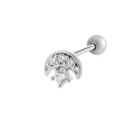 937--Plata Imagen6