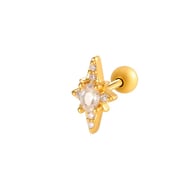 052 - Goud Afbeelding6