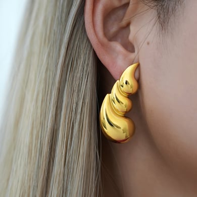 1 Pair Simple Irregular Shape Stainless Steel  Women's Stud Earrings h5 Picture5