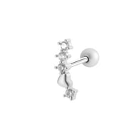 10# Silver Picture6