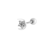 2# Silver Picture4