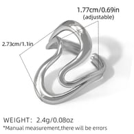 silver color/One size Imagen3