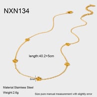 NXN134 