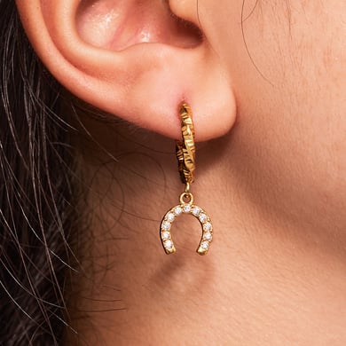 1 Pair Luxurious Horseshoe-shaped Stainless Steel Gold Color Zircon Women's Drop Earrings h5 Picture5