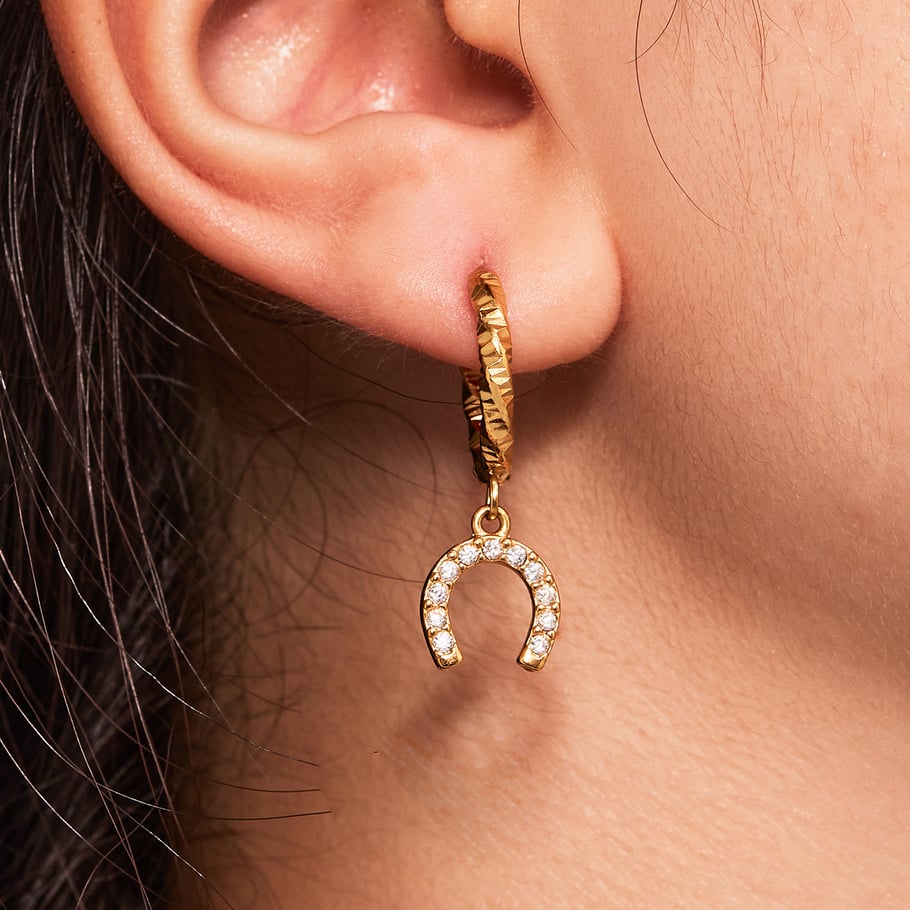 1 Pair Luxurious Horseshoe-shaped Stainless Steel Gold Color Zircon Women's Drop Earrings Picture5