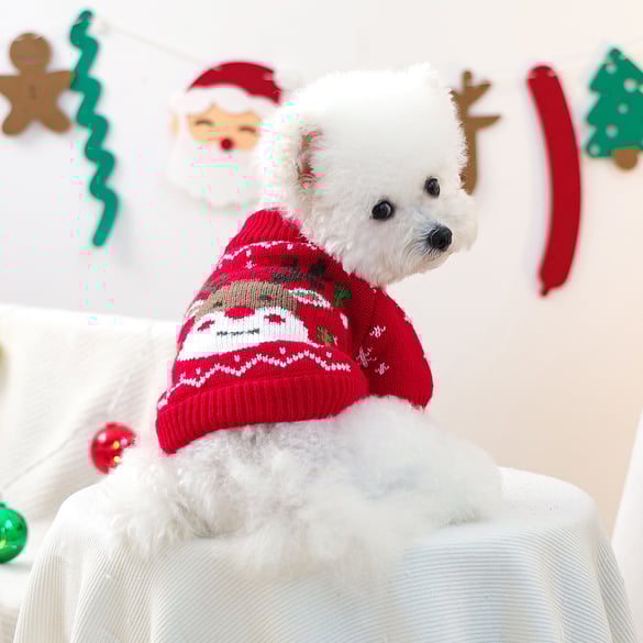 1 Piece Cute Christmas Pet Sweater 2