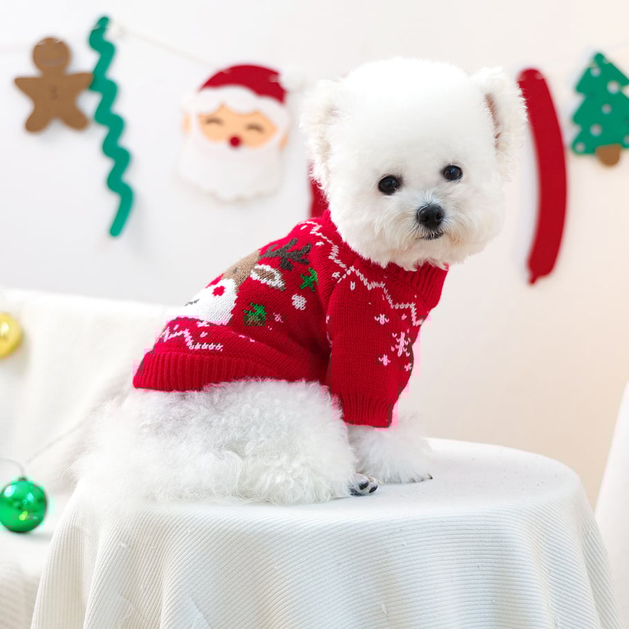 1 Piece Cute Christmas Pet Sweater Picture2
