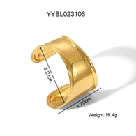 YYBL023106 