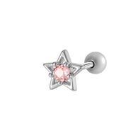 928—Silver Picture3