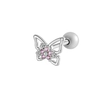 899-Zilver Afbeelding2