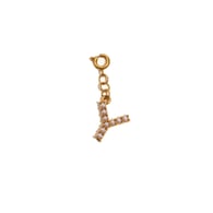 Spring Buckle Pendant-Y Picture3