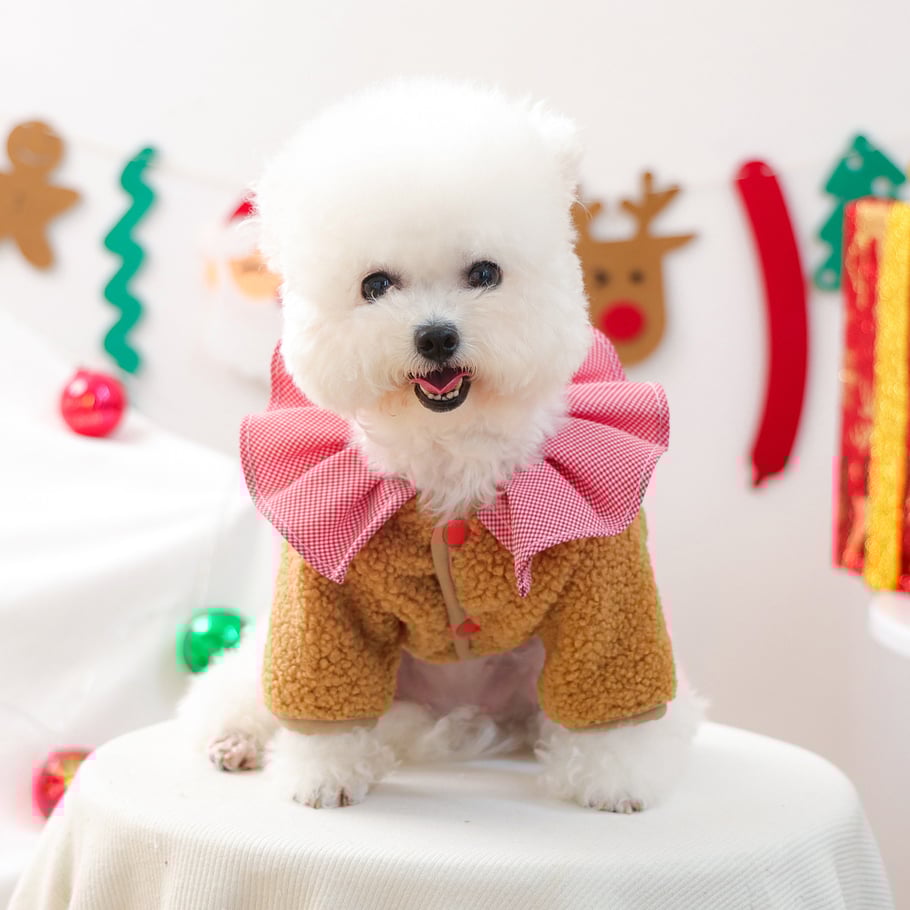 1 Piece Cute Christmas Pet Plush Coat Picture3
