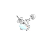silver color Afbeelding2