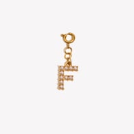 Spring Clasp Pendant-F Picture22