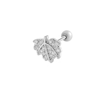 906--Plata Imagen2