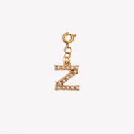 Spring Buckle Pendant-Z Picture2