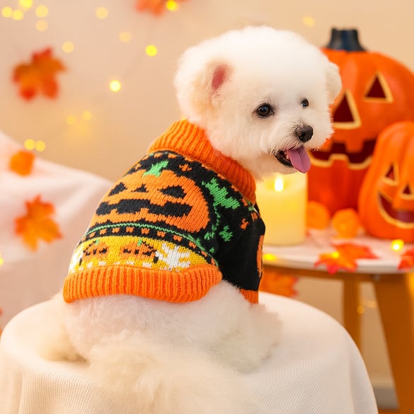 1 Piece Halloween Pet Sweater 2