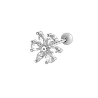 silver color Afbeelding6