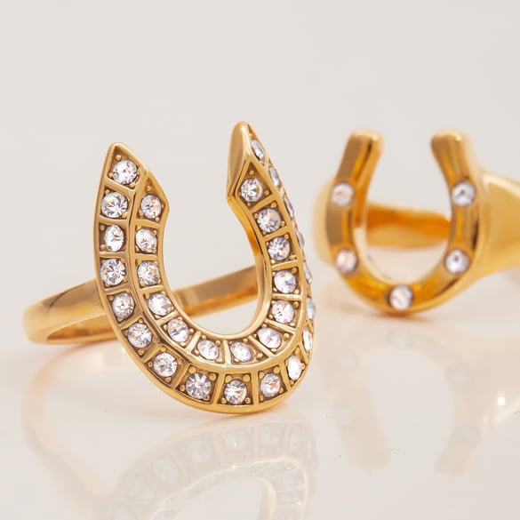 1 Piece Luxurious Horseshoe-shaped Stainless Steel Gold Color Statement Rings 2