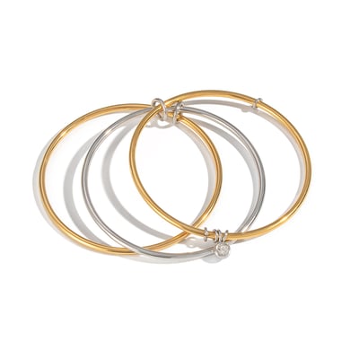 1 Piece Stainless Steel Mixed Color Bangle h5 Picture5