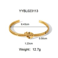 YYBL023113 Imagen3