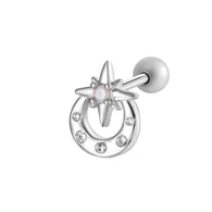 0197-3# Zilver Afbeelding9