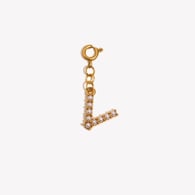 Spring Buckle Pendant-V Picture6