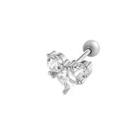 silver color Afbeelding5