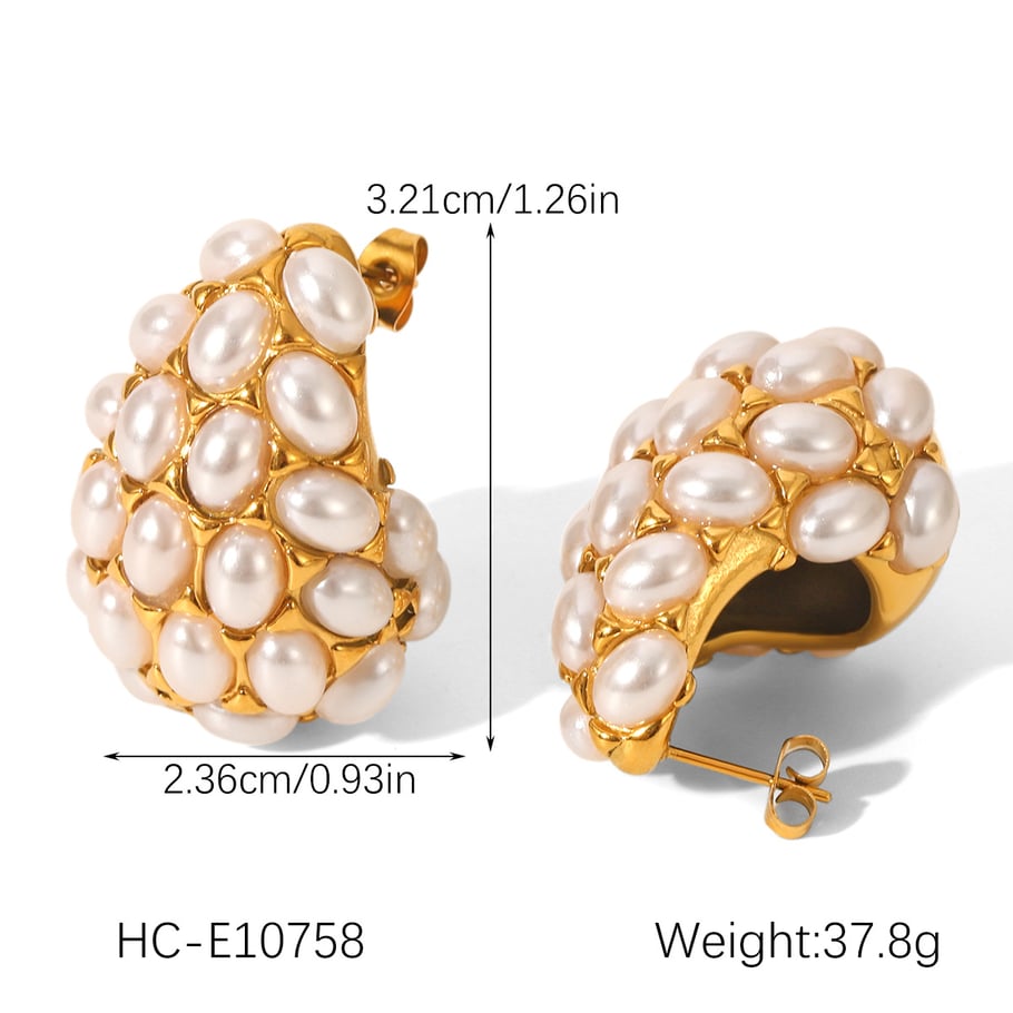 1 Pair Simple Daily Irregular Shape Stainless Steel  Women's Stud Earrings Picture2
