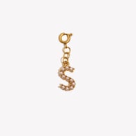 Spring Buckle Pendant-S Picture9