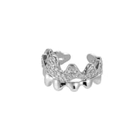 958-Silver Picture3