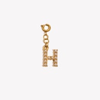Spring Clasp Pendant-H Picture20