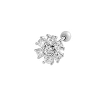 906--Plata Imagen8