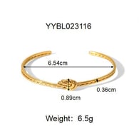 YYBL023116 Imagen6