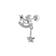 899-Zilver Afbeelding5