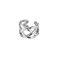 958-Silver Picture4
