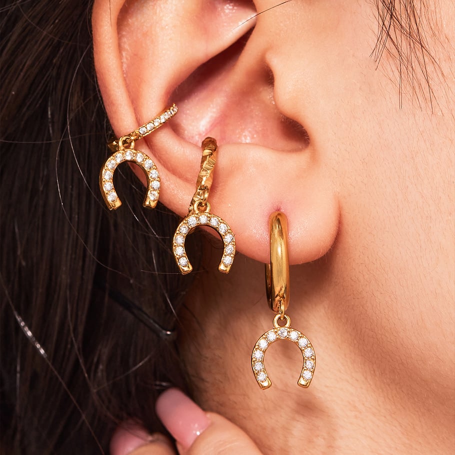1 Pair Luxurious Horseshoe-shaped Stainless Steel Gold Color Zircon Women's Drop Earrings Picture6