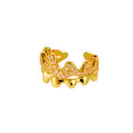 958-Gold Picture11