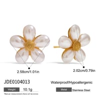 JDE0104013 