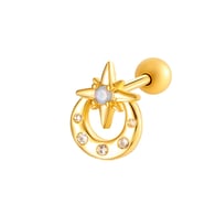 0197-3#goud Afbeelding3