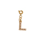 Spring Buckle Pendant-L Picture16