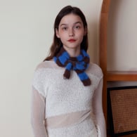 Blue Picture2