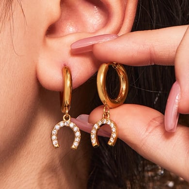 1 Pair Luxurious Horseshoe-shaped Stainless Steel Gold Color Zircon Women's Drop Earrings h5 Picture7