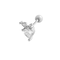 silver color Afbeelding5