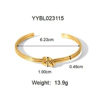 YYBL023115 Imagen5