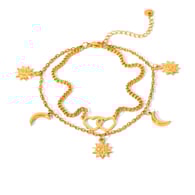 HC-A50013 