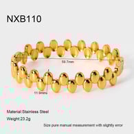 NXB110 