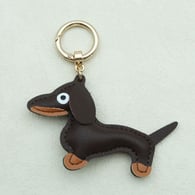 dark brown/B Picture30
